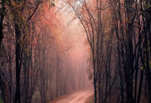 2026世界杯-足球预测软件怎么选？用对数据分析软件，让足球预测更清晰可控