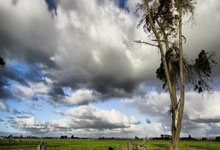 世界杯平台-英超单场：阿森纳客场战平布伦特福德