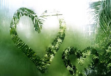 世界杯平台-英超单场：阿森纳客场战平布伦特福德