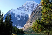 2026世界杯-英(yīng)超：布伦特福德vs埃弗頓(dùn)，谁能(néng)抢到分数？