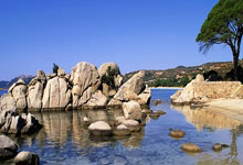 世界杯下注-像素世界杯足球赛：终极版免费下载上千款游戏